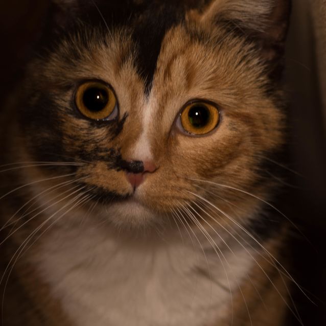 Photo of Vicky