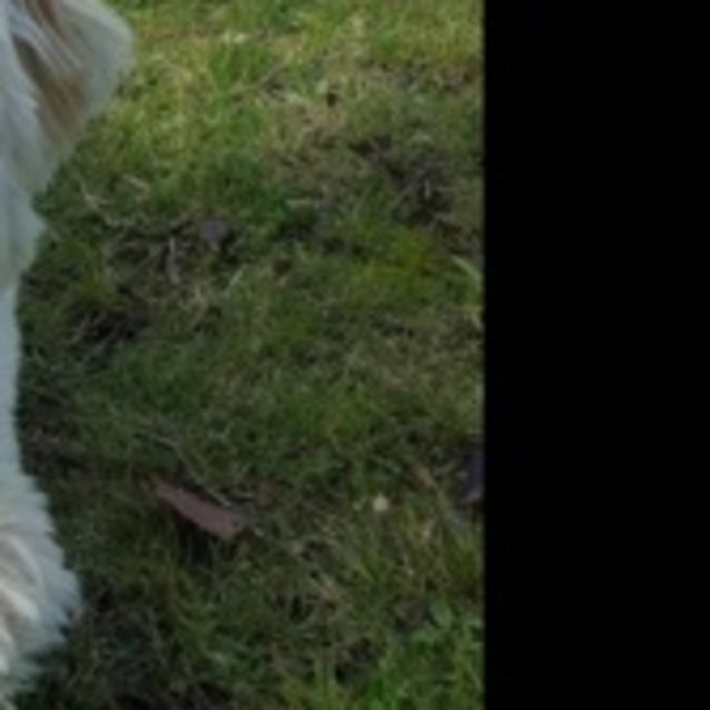 Photo of Darcey