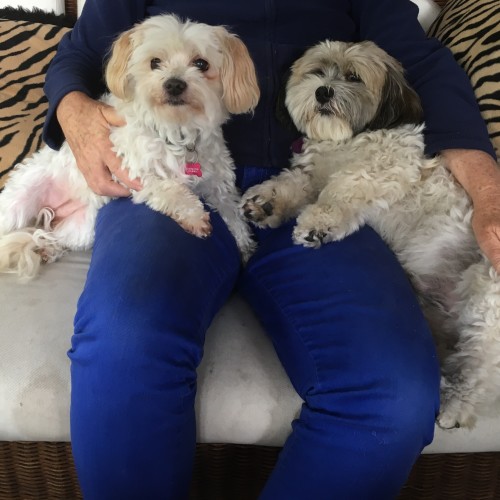Billy and Jazz