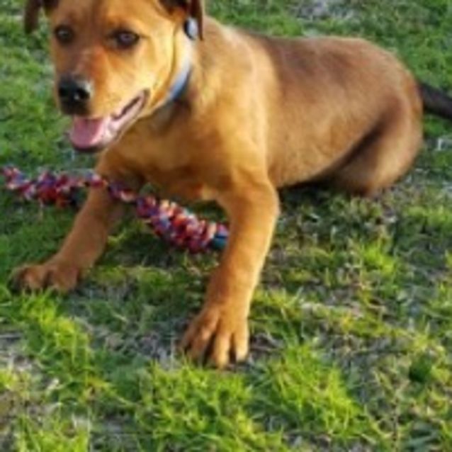 Photo of Charlie Ed0122 