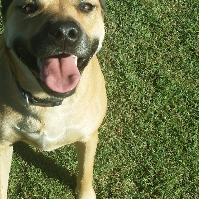 Photo of Chance *I'm Just $100!*