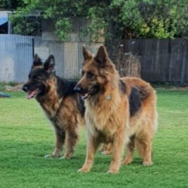 Photo of Nicky And Zara