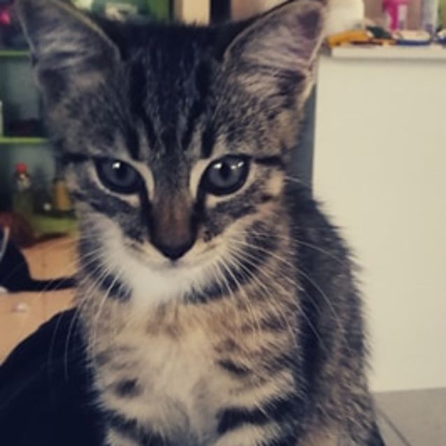 Photo of Taylah