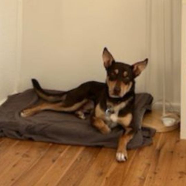 Photo of Lennox Aka Lenny