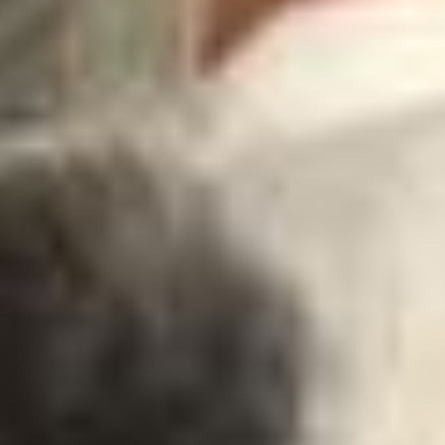 Photo of Loki