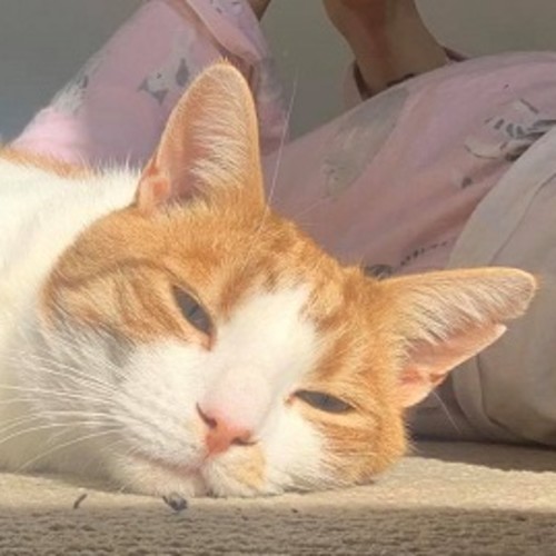 Ginger Benny