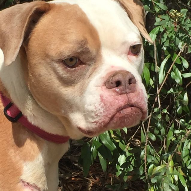 Photo of Cooper