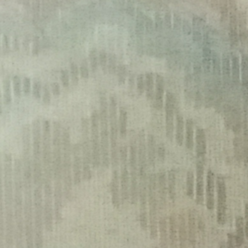 Turtle the snugglepot!