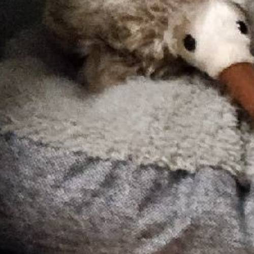 Fred *Assisted rehome*