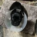 Photo of Dottie