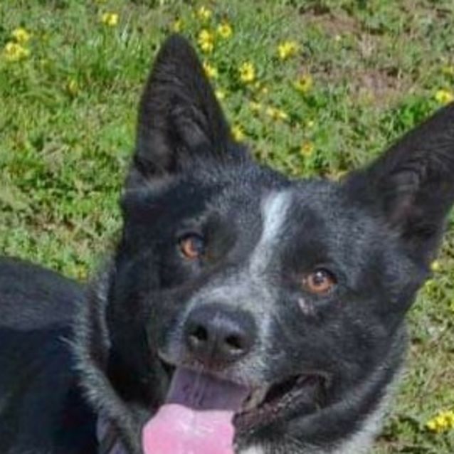 Photo of Calypso
