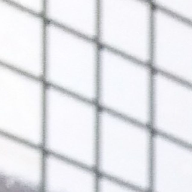 Photo of Teemo