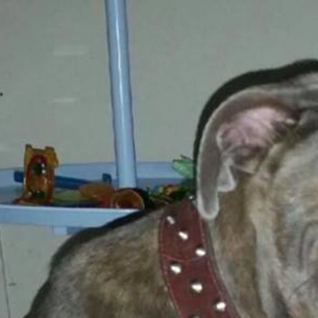 Photo of Claude