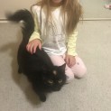 Photo of Ember