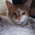 Photo of Joyee