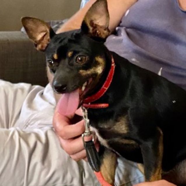 Photo of Rocko 🏆🏆🏆