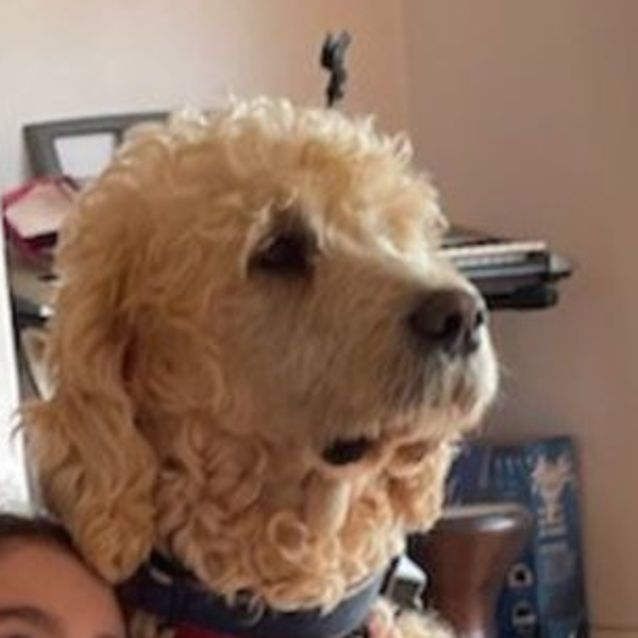 Photo of D856 Shooki