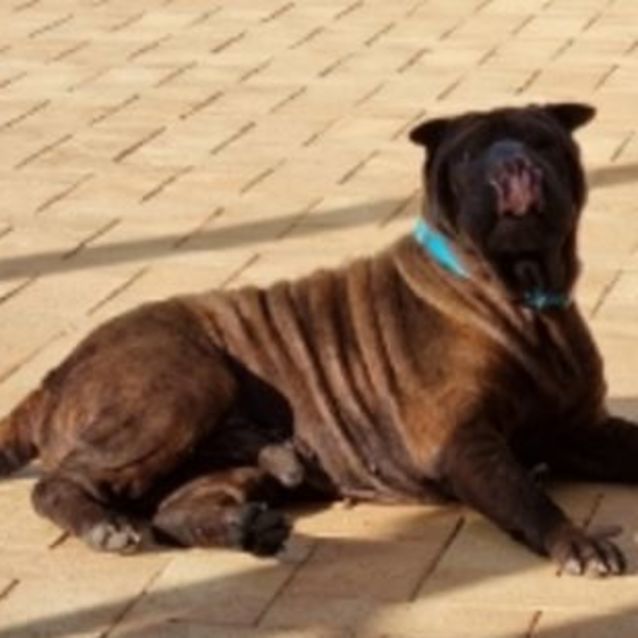 Photo of Tess And Bruce 