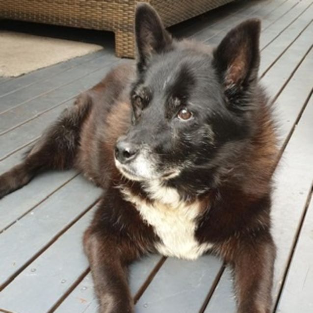 Photo of Mocha ** A Senior Girl ** 