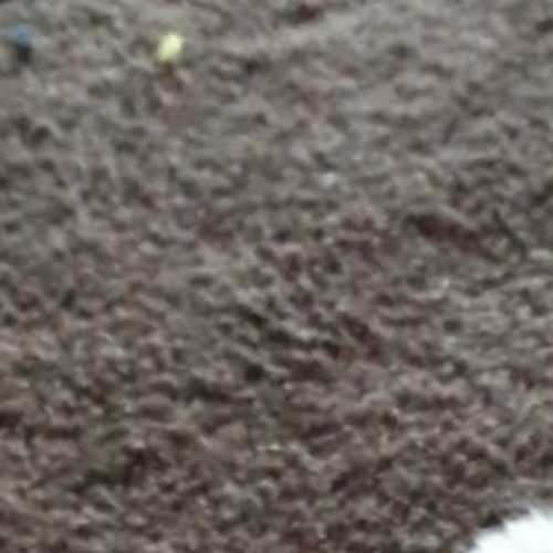 Barney ^^Dandy Cat Rescue^^