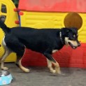 Photo of Keston
