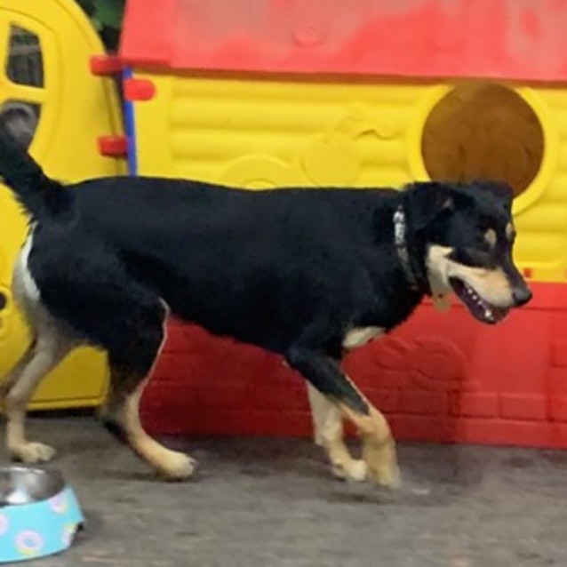 Photo of Keston