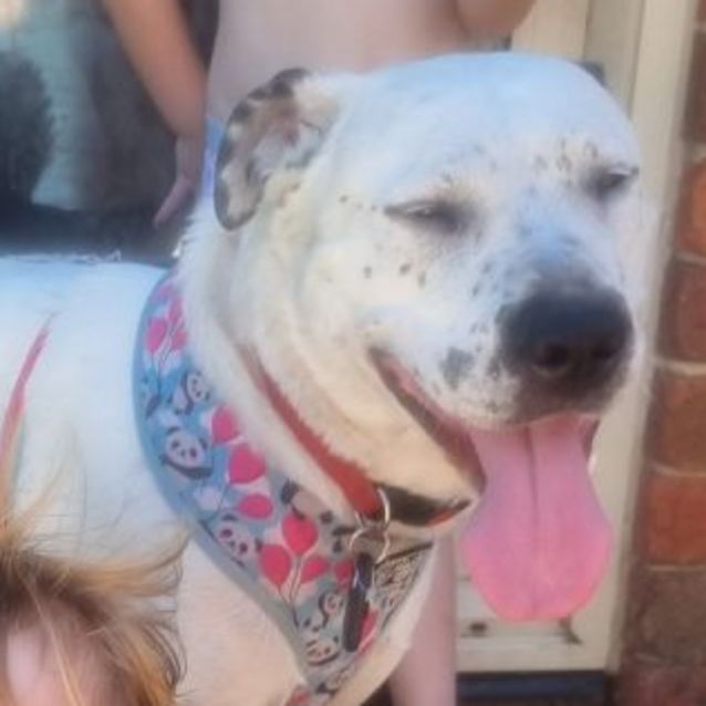 Photo of Clarabelle