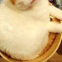 Photo of Richard (Located In Melbourne C B D)