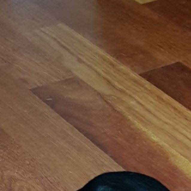 Photo of Ricky