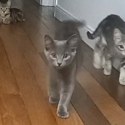 No photo for Max