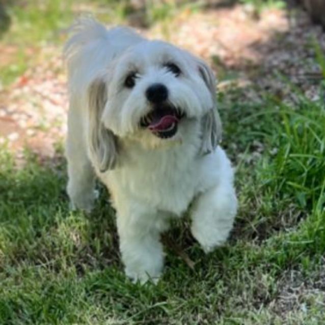 Photo of Jimmy Giggle 