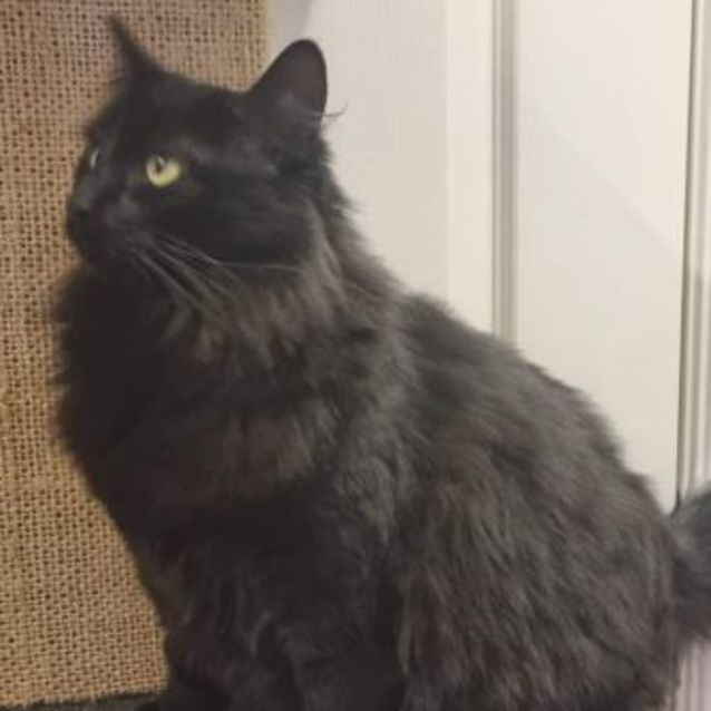 Photo of Wednesday 🖤