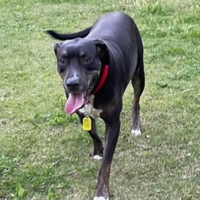 Photo of Marley Girl 👧 