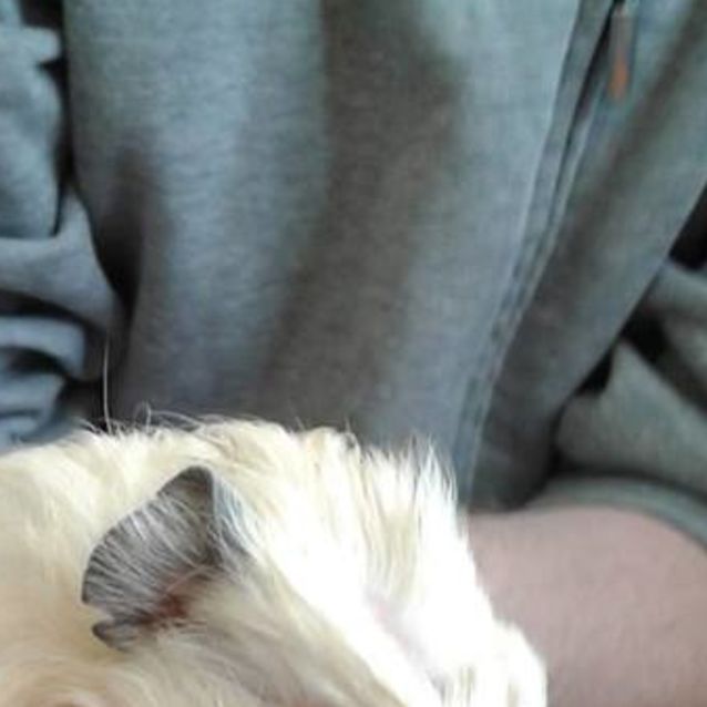 Photo of Lotus & Mouse