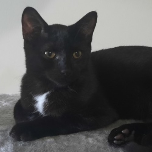 No photo for Peaches