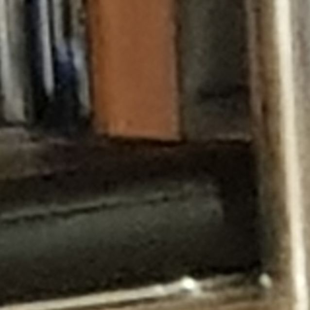 Photo of Roo (Beans)