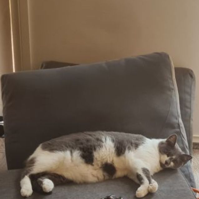 Photo of Ri Ri (Located In Pakenham)