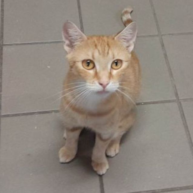 Photo of Noelle + Wanda