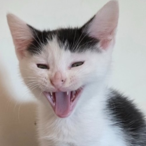 Delilah