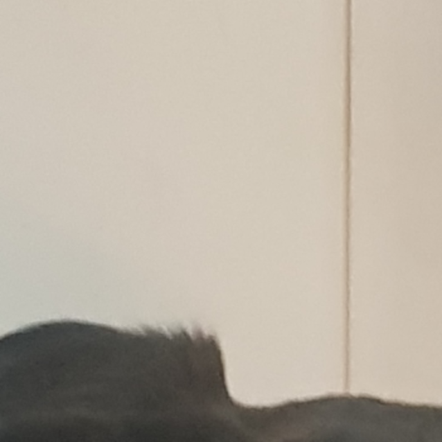 Photo of Aspyn