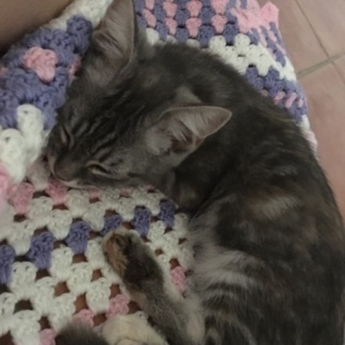 Juliette
