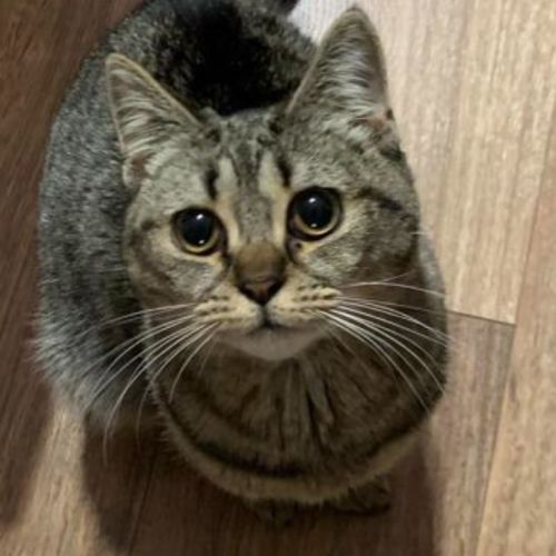 Butter - Located in Kew