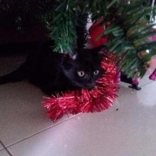 Luna