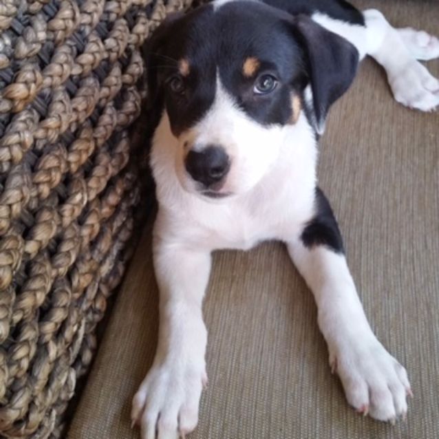 Photo of Harper