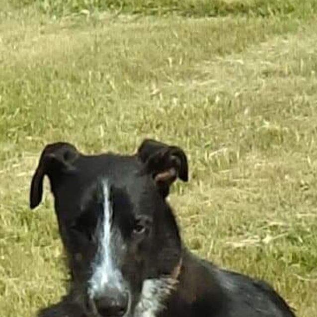 Photo of Jetson