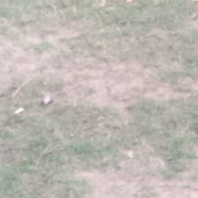 Photo of Maddie   Meet And Greet Organised