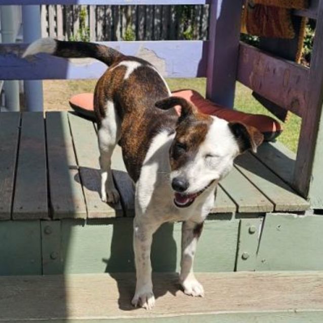 Photo of Penny