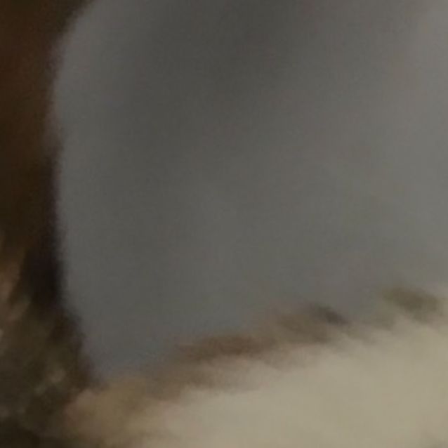 Photo of Jemima
