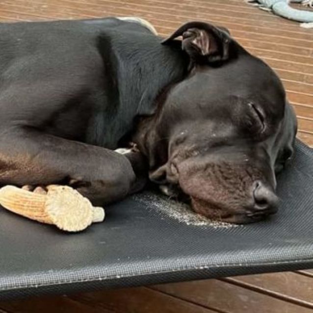 Photo of Severus Snape