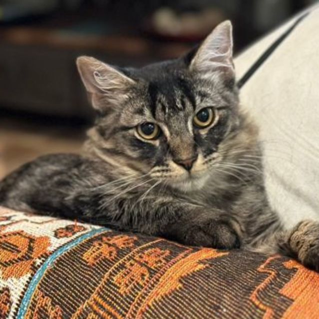 Photo of Charlie